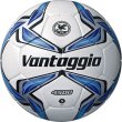 画像1: モルテン　サッカーボール　5号球【検定球】ヴァンタッジオ4500土用 (1)