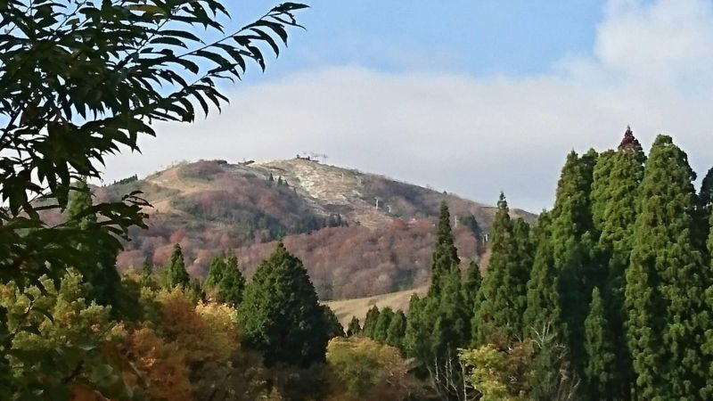 兵庫県も降りましたね！